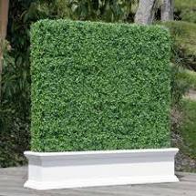 Artificial Green Hedge